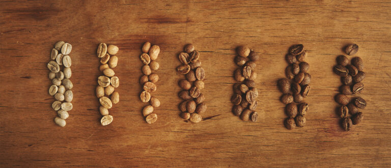 دانه‌های قهوه در طیف‌های رنگی مختلف که طی برشته کاری رنگ آنها تغییر کرده است.